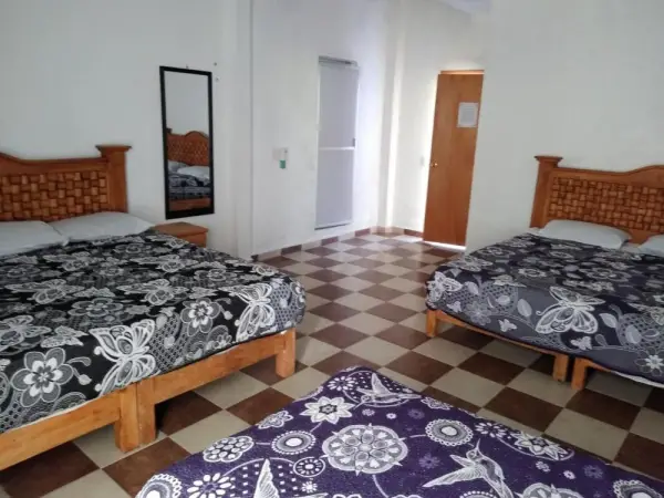 Hotel Juarez 5