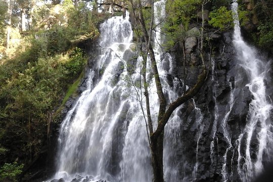 Tour image 5