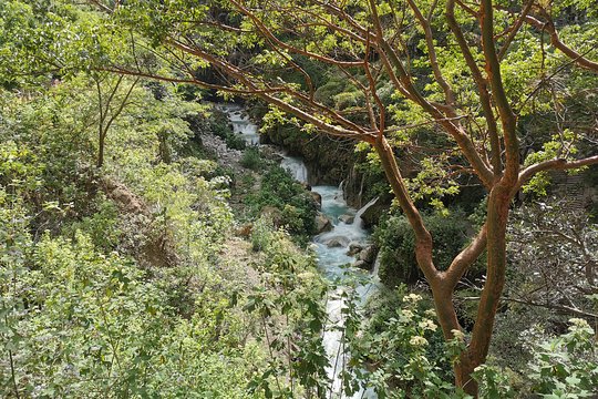 Tour image 12