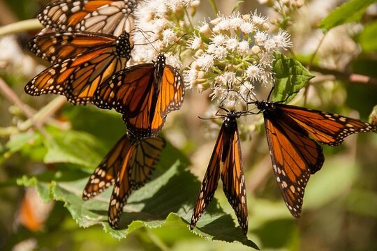 Tour image 2