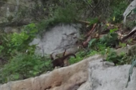 Tour image 13