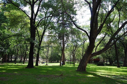Tour image 12