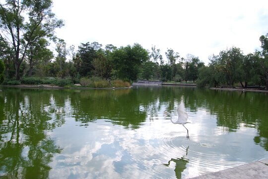 Tour image 13