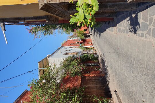 Tour image 5